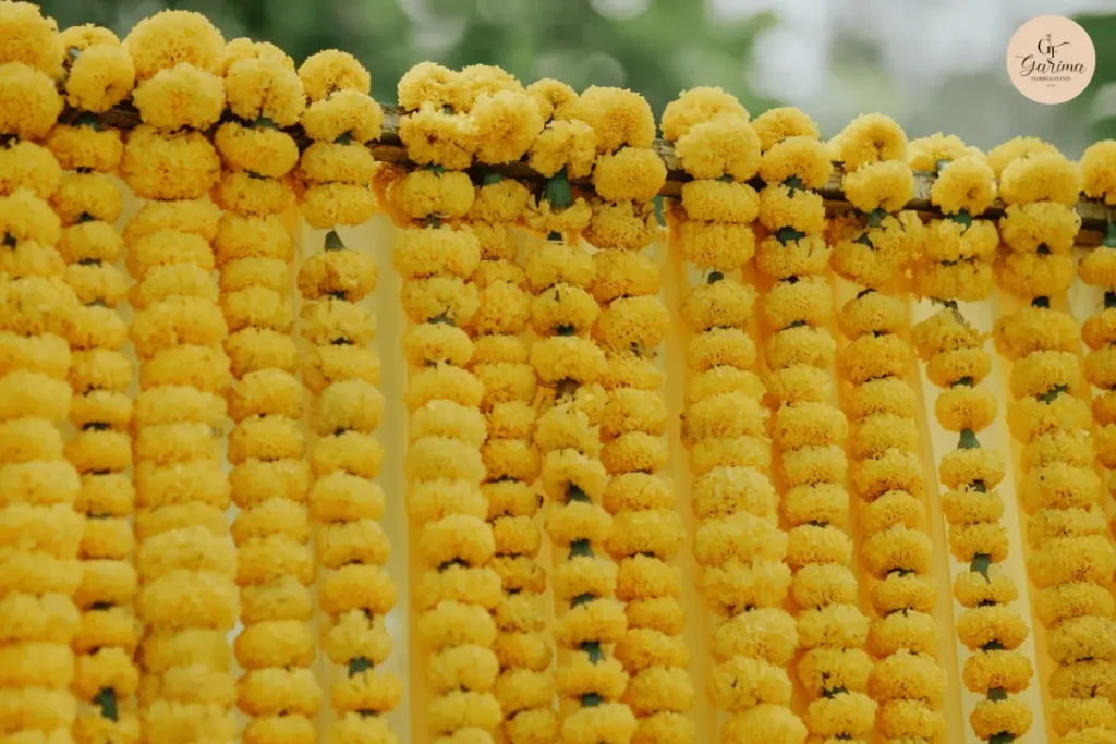 yellow marigold garlands hanging as a traditional Haldi decoration backdrop